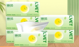丽邦卫生纸,呵护健康，引领品质生活新潮流